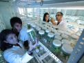 a2la American association for laboratory accreditation