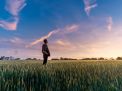 inpatient drug rehab florida