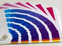 Denver Painters