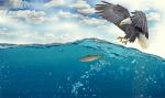 sport fishing costa rica